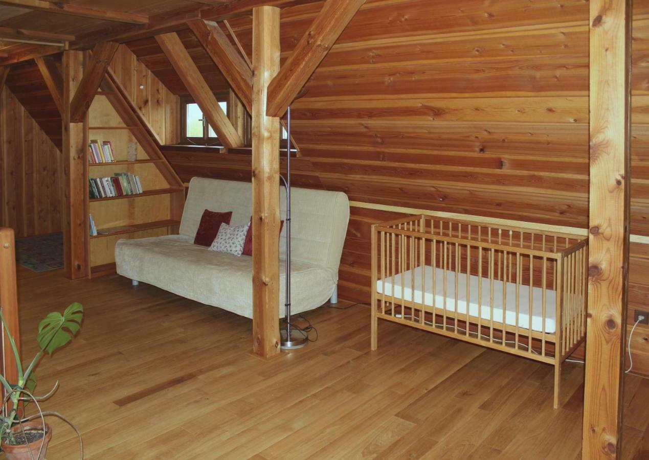 Apartman Ve Skanzenu Třebechovice pod Orebem Extérieur photo